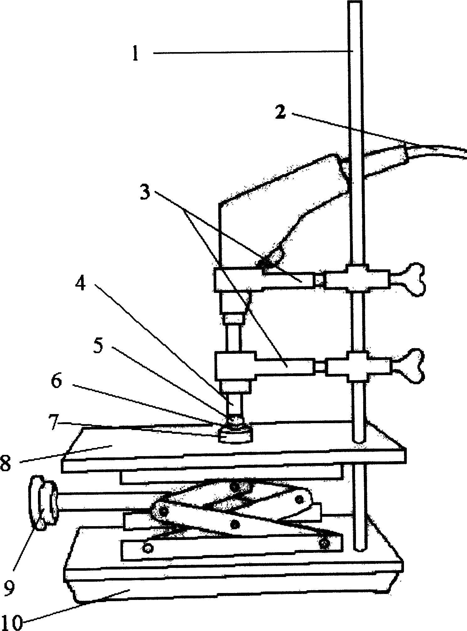 Non-destructive method for determining oil content in single peanut seed