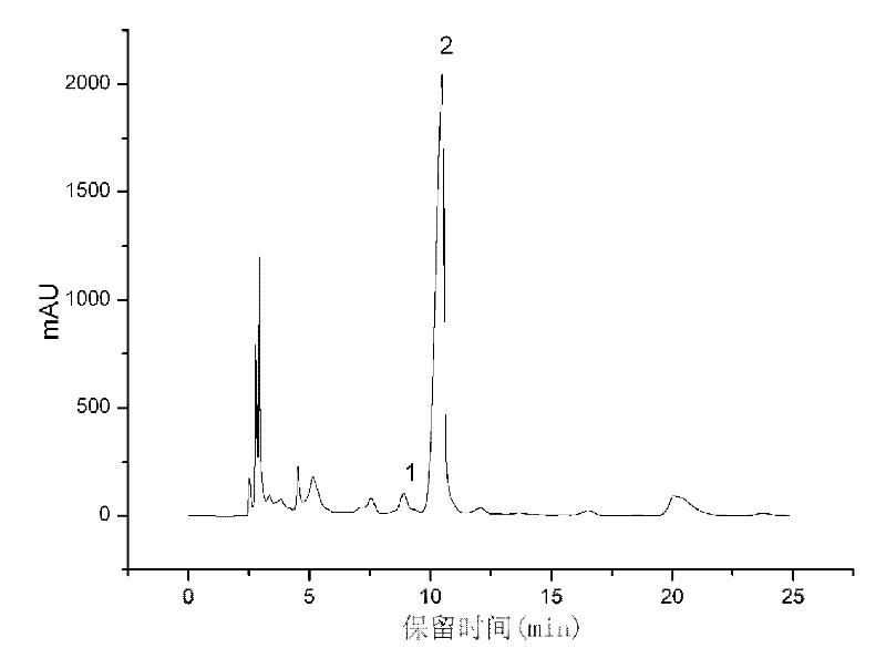 Culturing method of cordyceps militaris rich in effective component (schisandra chinensis)