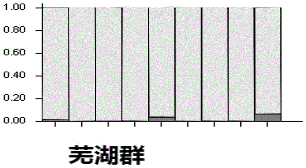 Primer for identifying coilia ectenes and coilia brachygnathus and molecular biological method