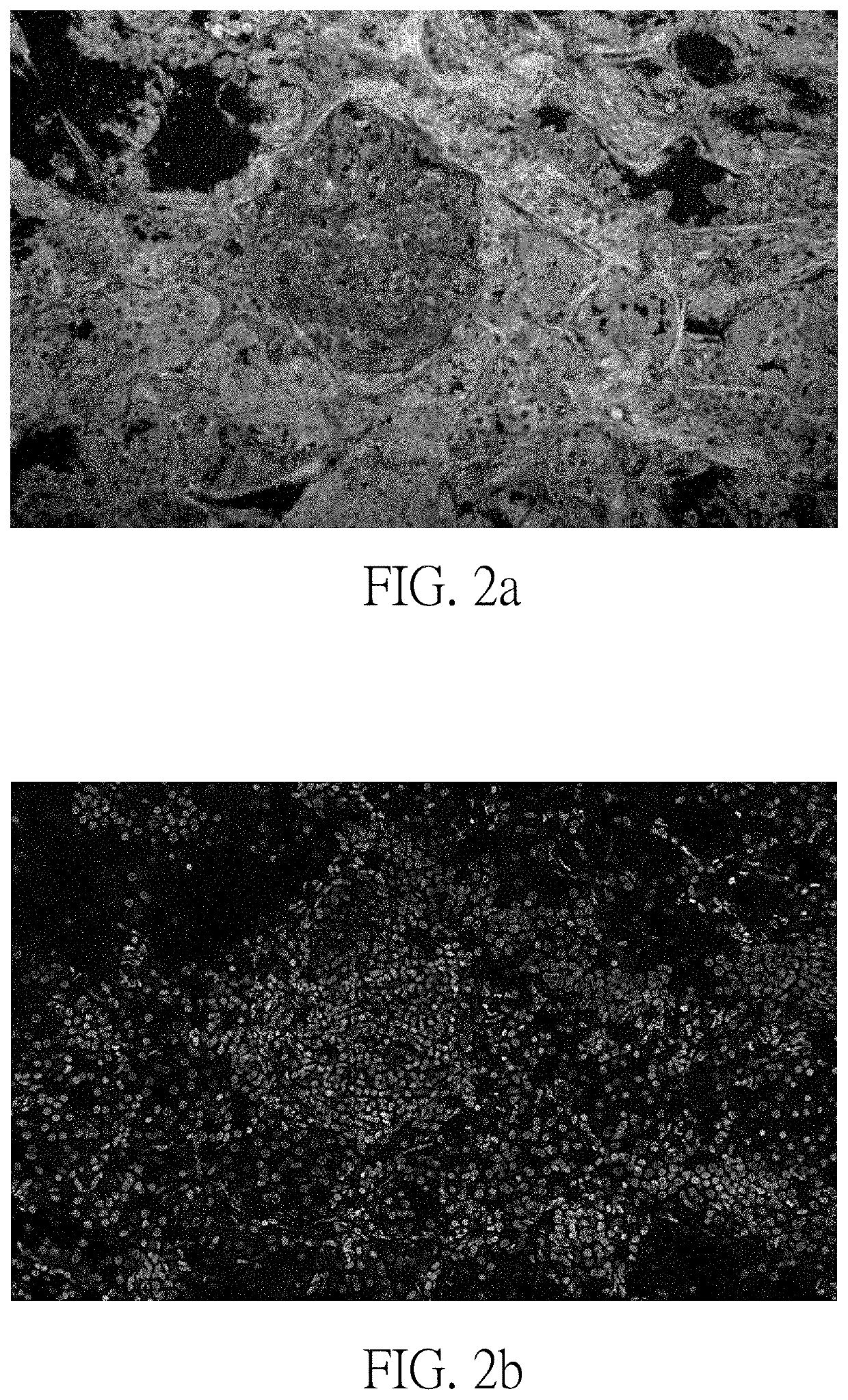 Pseudo h&e image producing method and optical system using same