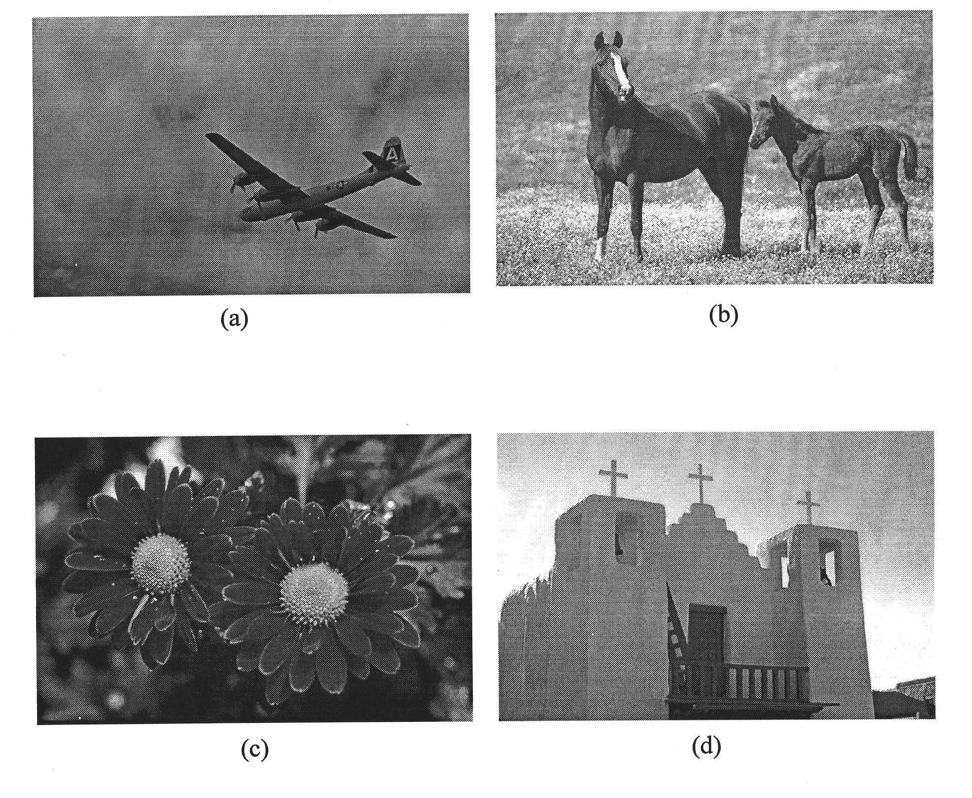 Image segmentation method by using nucleus transmission