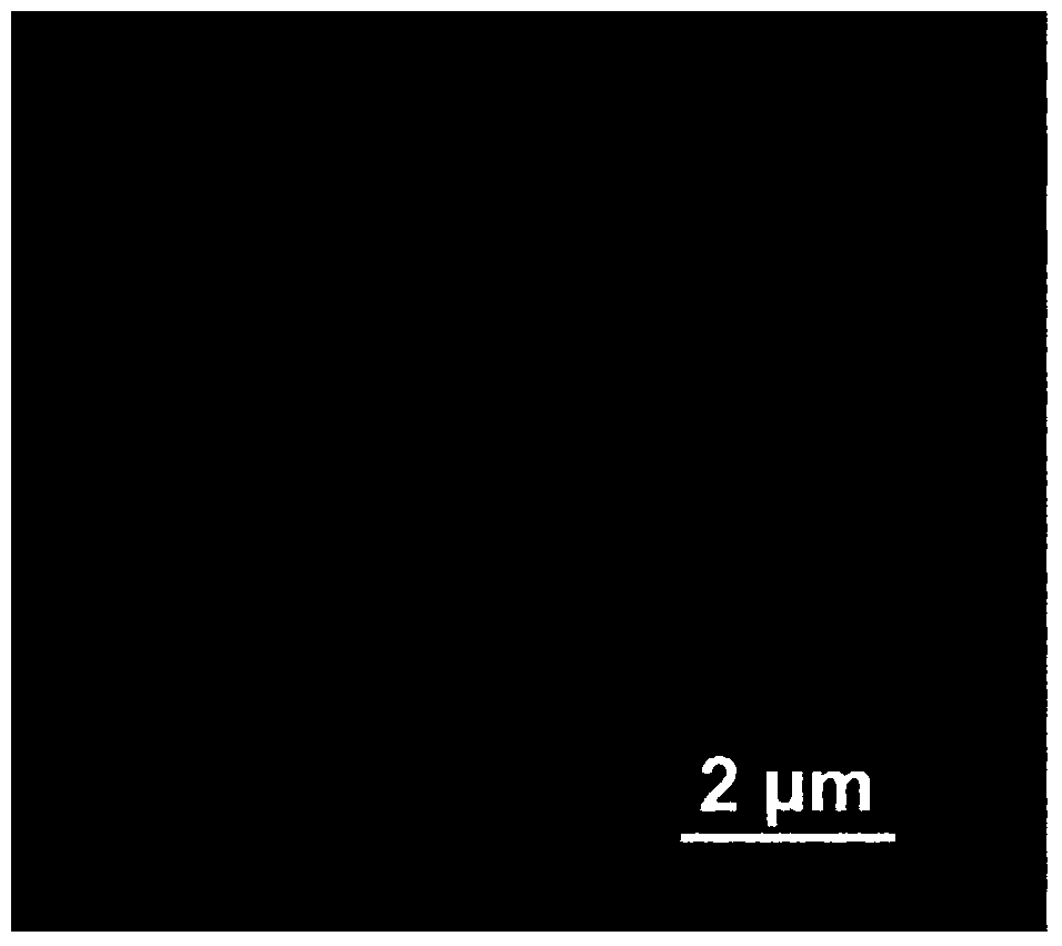 Hydroxycamptothecine lipid nanobundle preparations and preparation methods thereof