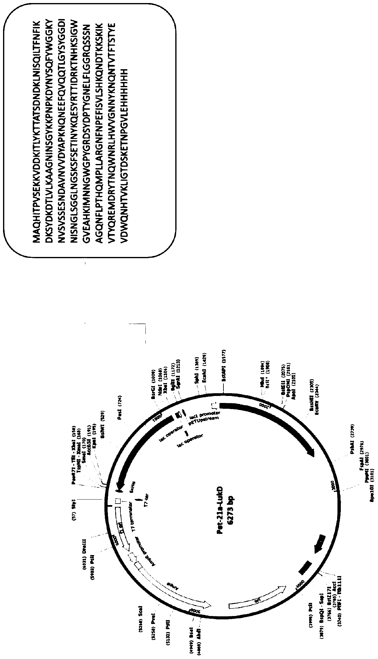 Antibody for resisting staphylococcus aureus toxin and applications thereof