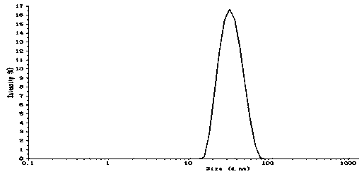 Oil-in-water type fructus hippophae oil nanoemulsion external preparation and method for preparing same