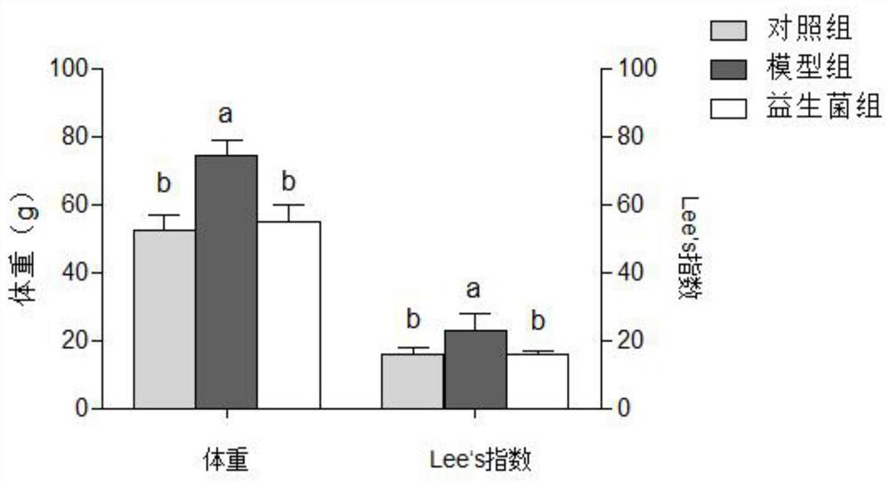 A strain of Lactobacillus plantarum that improves fat-prone physique and weight of offspring and its application