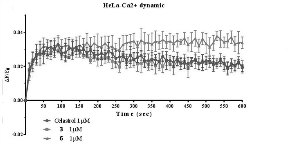 Tripterine derivative and preparation method and application thereof