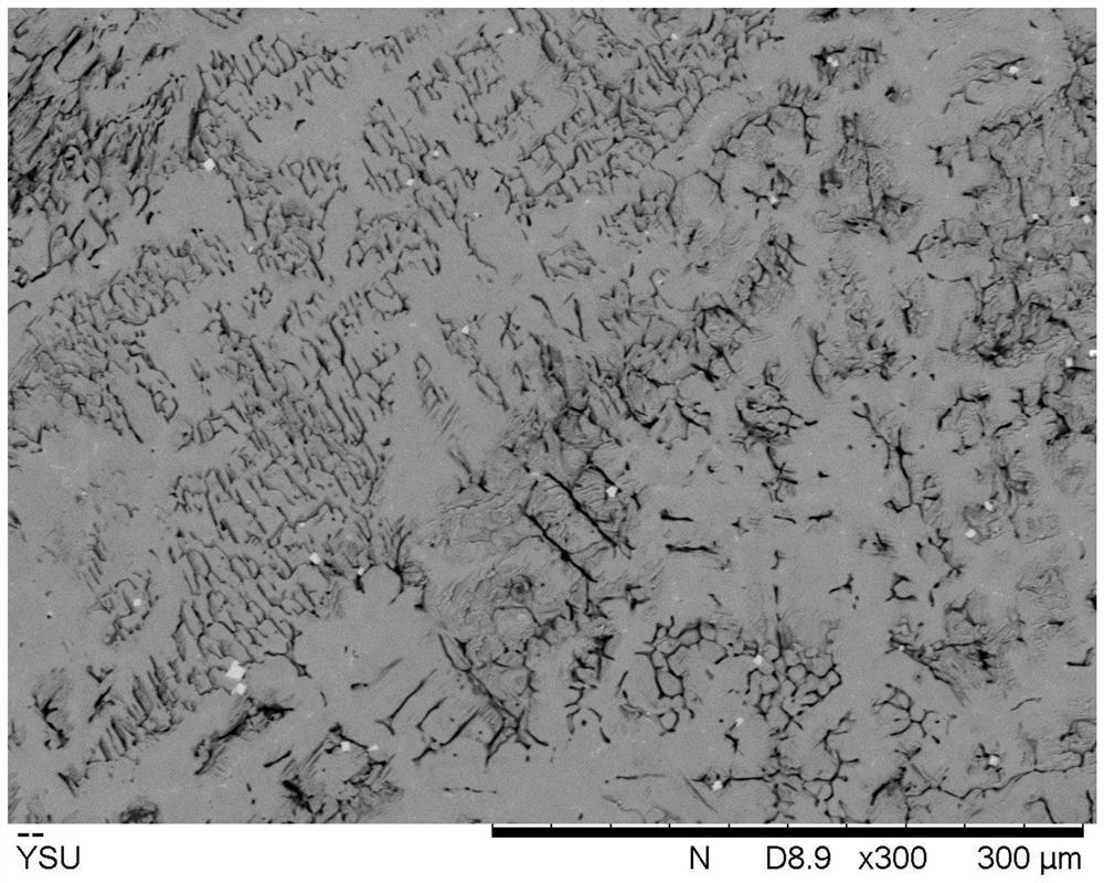 A kind of high-strength corrosion-resistant zirconium-containing stainless steel and its preparation method