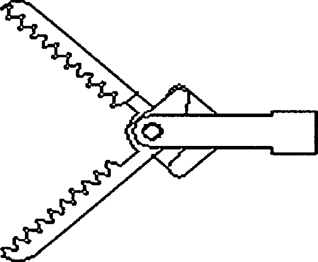 WX-shaped hard endoscopic forceps