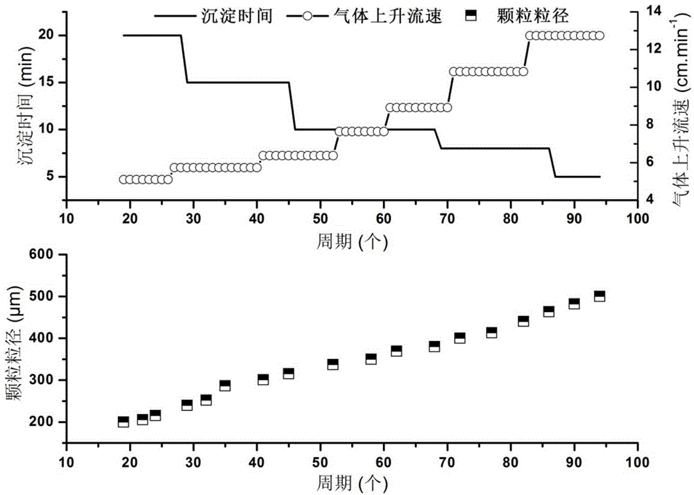 A method for cultivating nitrosated granular sludge for treating urban domestic sewage at room temperature