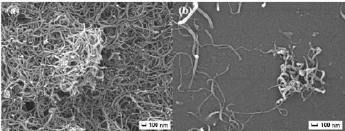 Preparation method and application of imprinted porous adsorption lithium/rubidium ion material