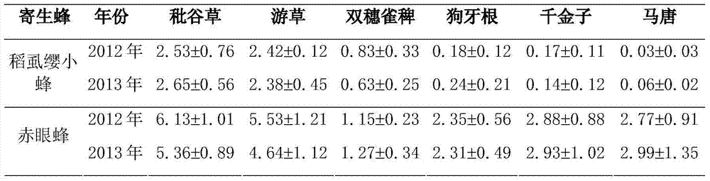 Carrier plant system for protecting and increasing number of rice field rice planthopper parasitic wasps