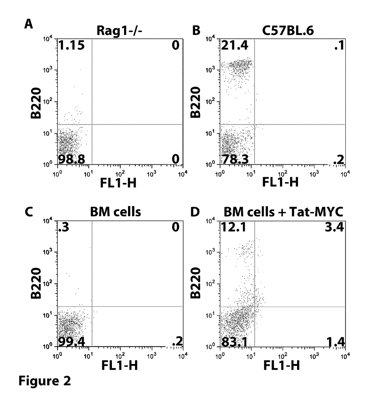 Enhanced reconstitution and autoreconstitution of the hematopoietic compartment