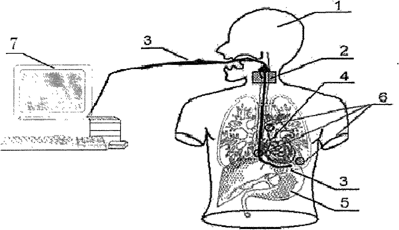 Transesophageal echocardiography visual simulation system and method