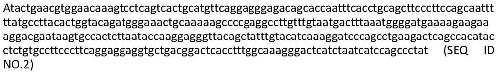 T-cell receptors that recognize short peptides of the mage-a1 antigen