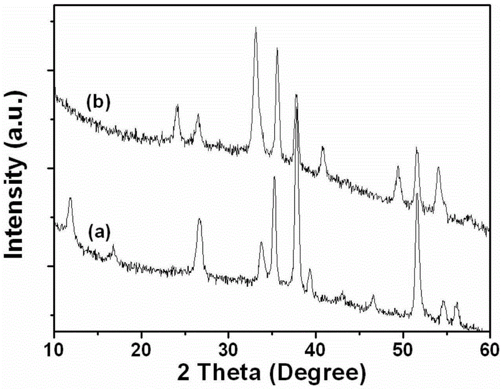 Hydrothermal method-based method for preparing alpha-Fe2O3 nanotube array