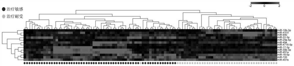 Markers and kits for predicting the sensitivity of HER2-positive metastatic breast cancer patients to trastuzumab