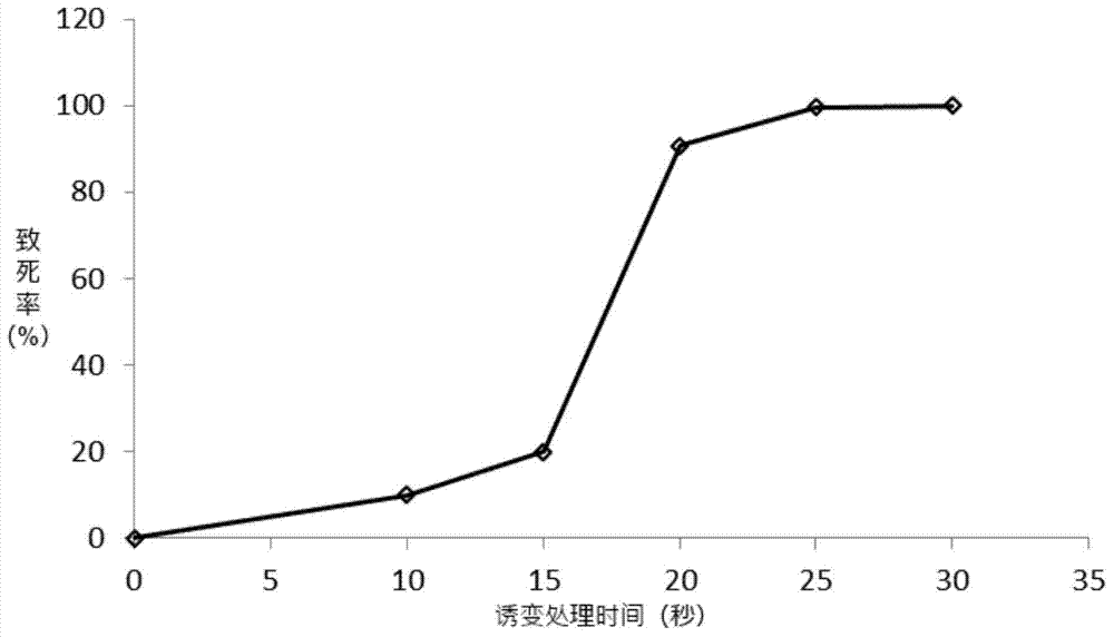 Artificial microalgae strain breeding method