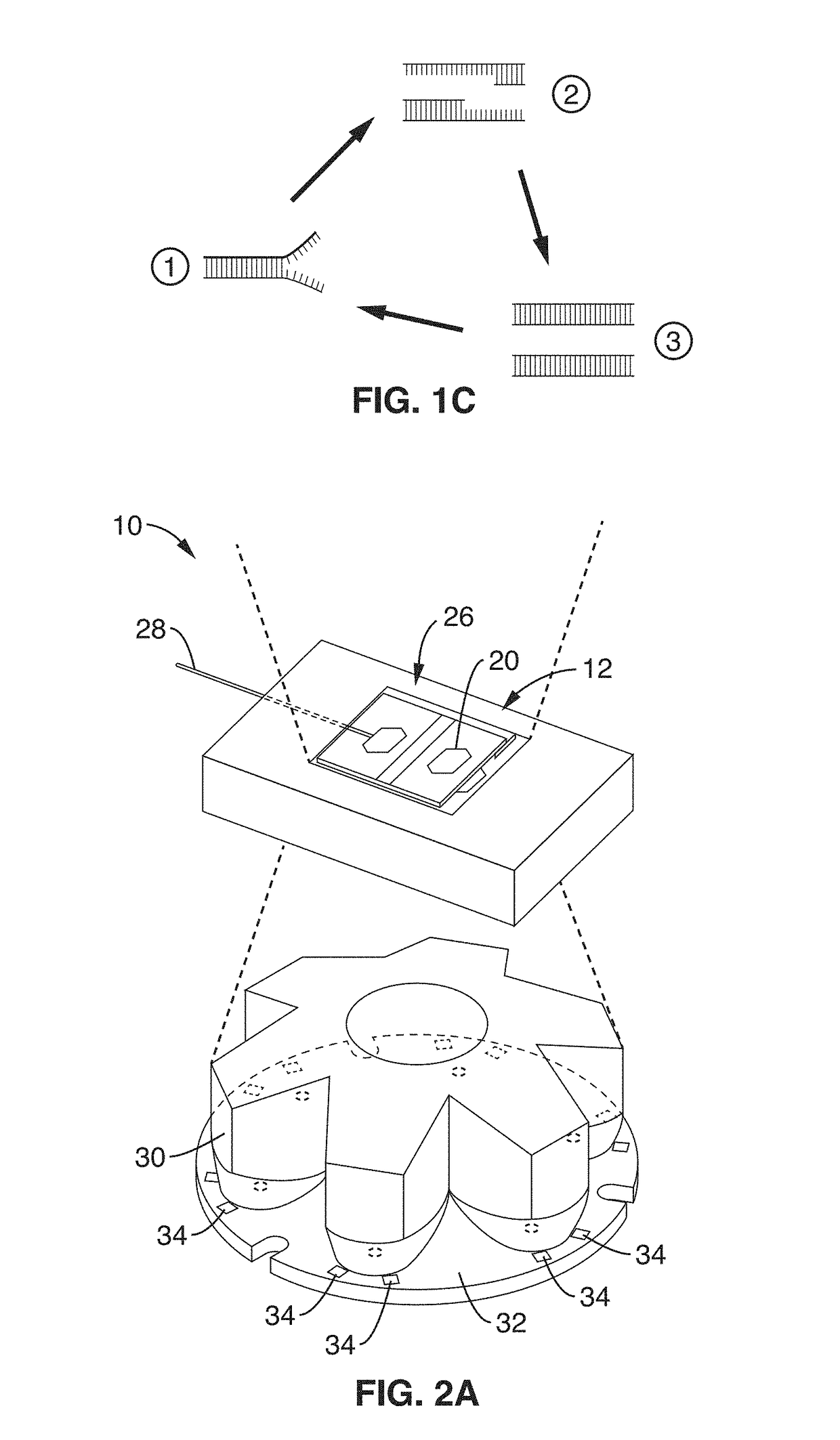 Optical cavity PCR