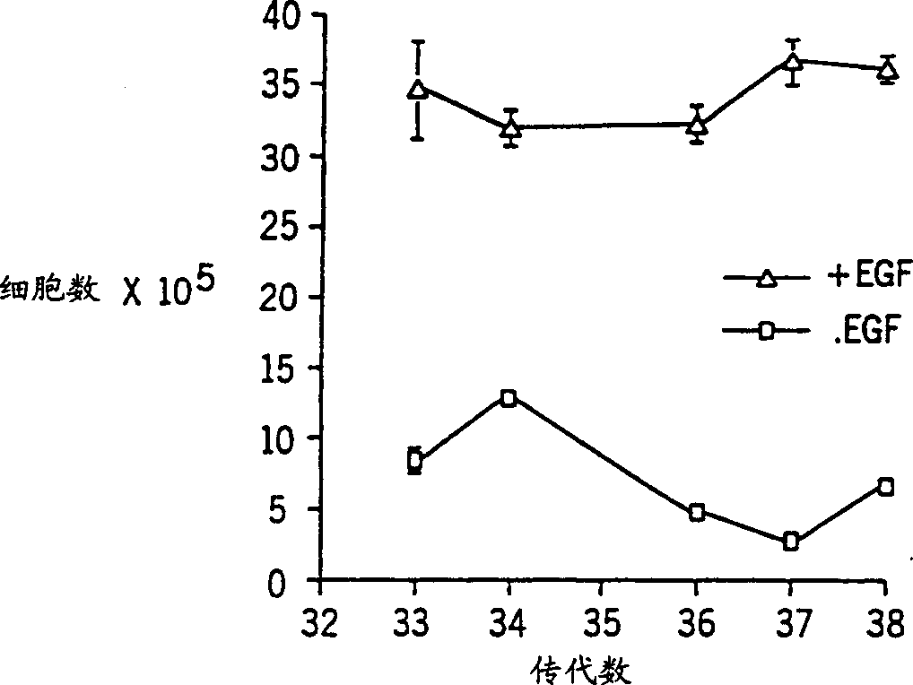 Immortalized human kerationocyte cell line