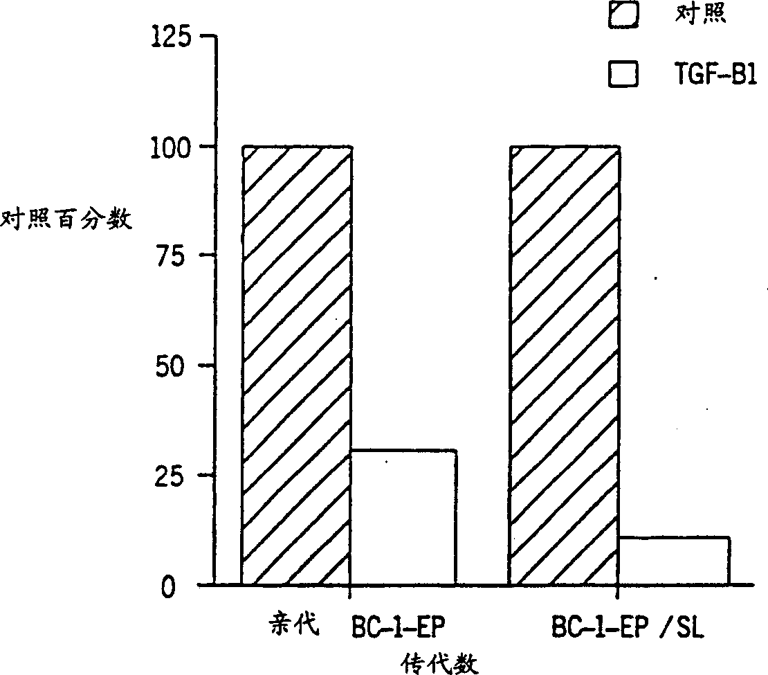 Immortalized human kerationocyte cell line