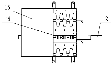 A device and method for separating Panax notoginseng seedlings