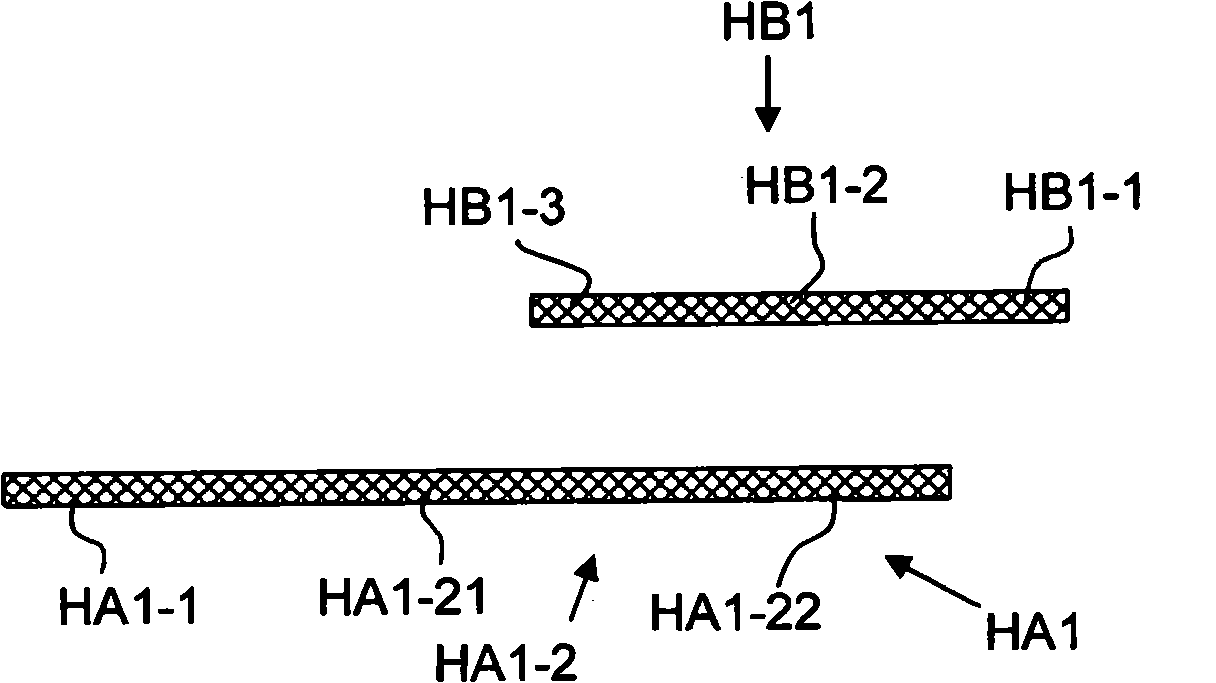 Method for the production of a profiled preform or a profiled fiber composite-plastic component