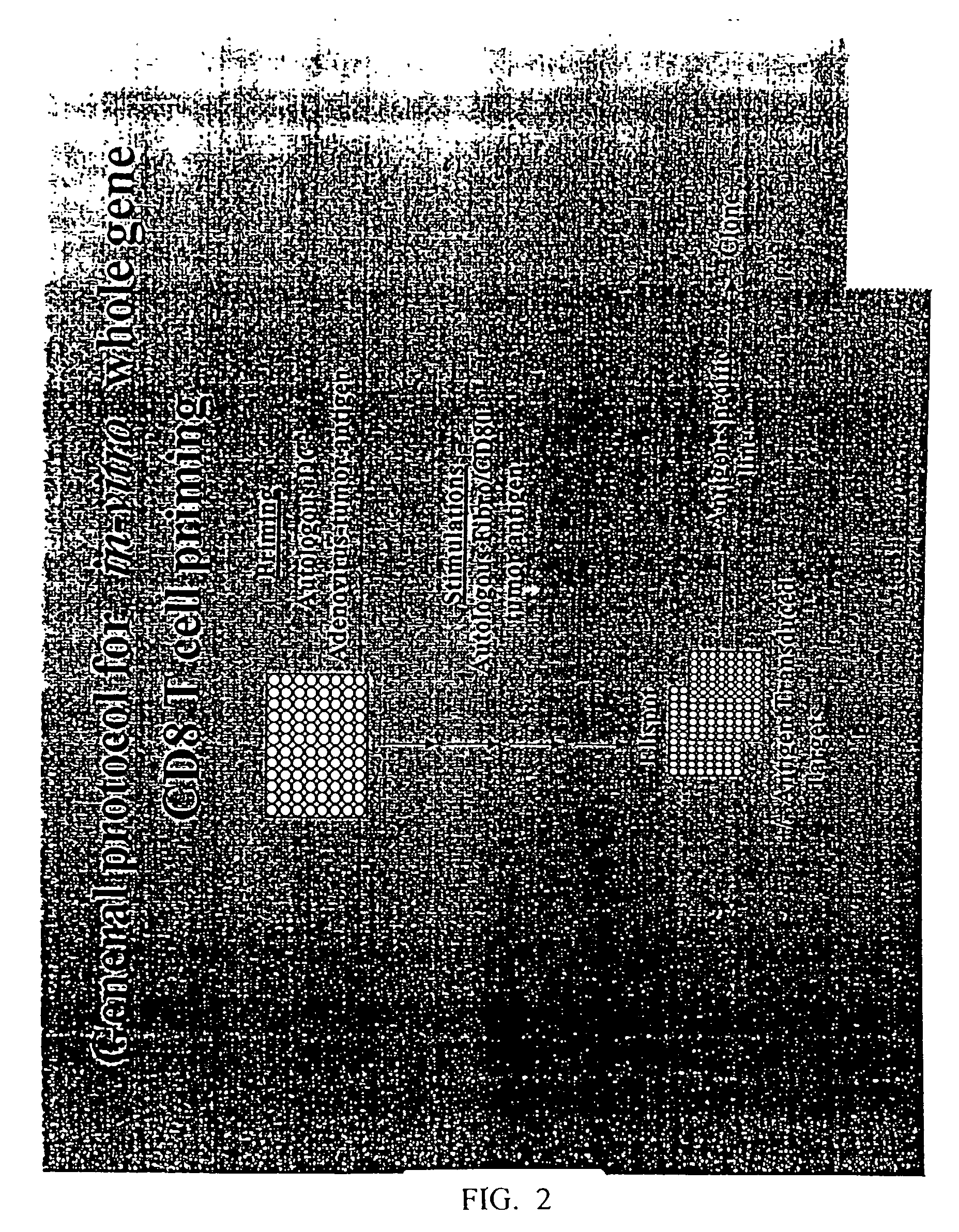 Compositions and methods for the detection, diagnosis and therapy of hematological malignancies