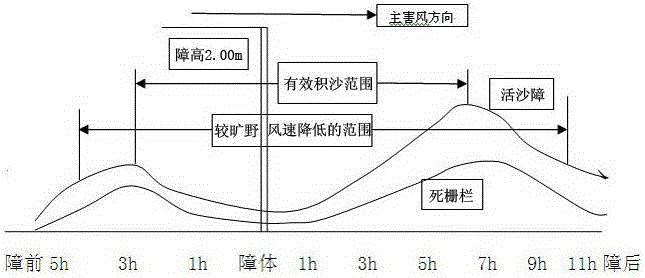 Stripped live plant fence type sand-barrier protection system planting method