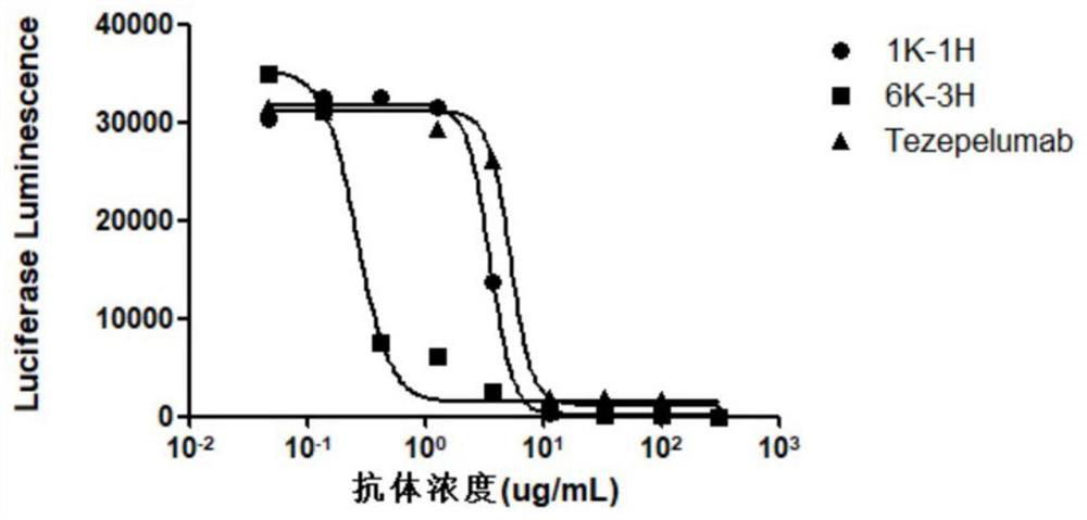 Human Thymic Stromal Lymphopoietin Monoclonal Antibody and Its Application