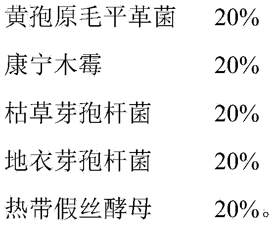 Corn straw fermentation microorganism agent and preparation method and fermentation method thereof