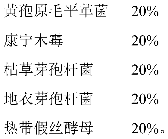 Corn straw fermentation microorganism agent and preparation method and fermentation method thereof