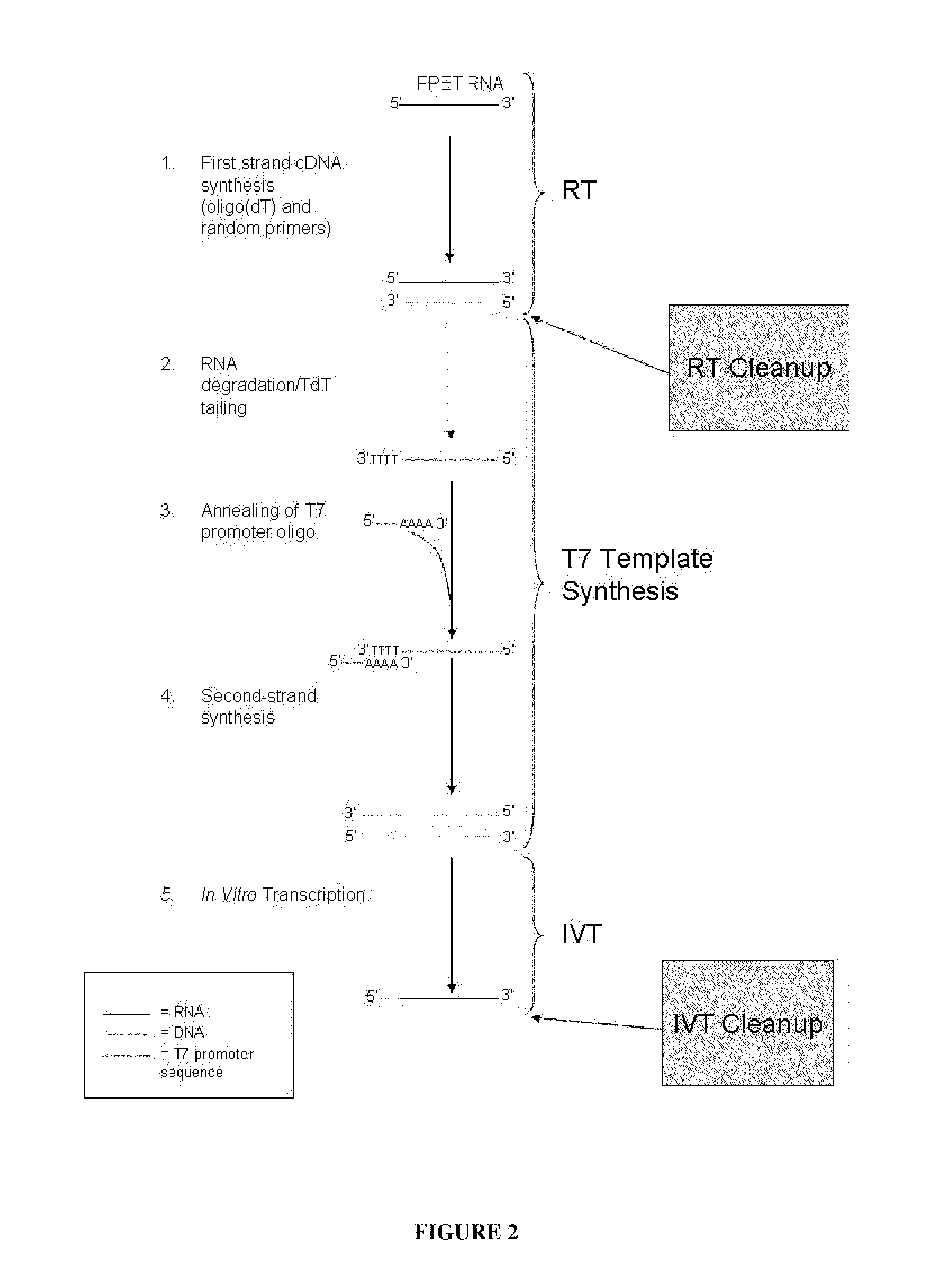 Methods for depleting RNA from nucleic acid samples