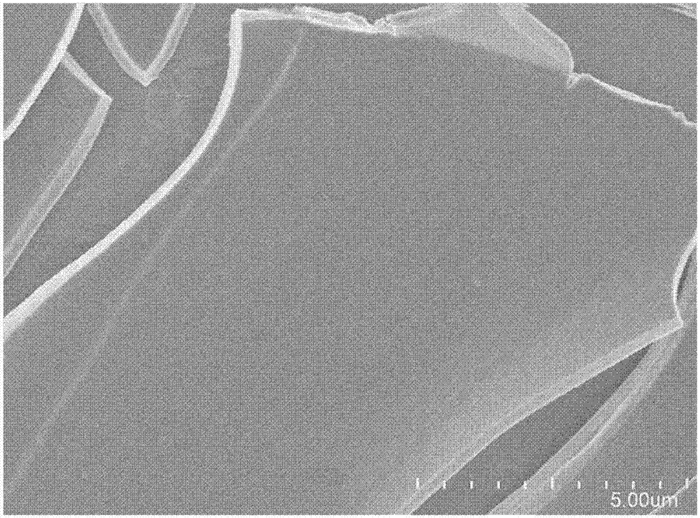 Light-driven waste water nitrogen-removal method and equipment