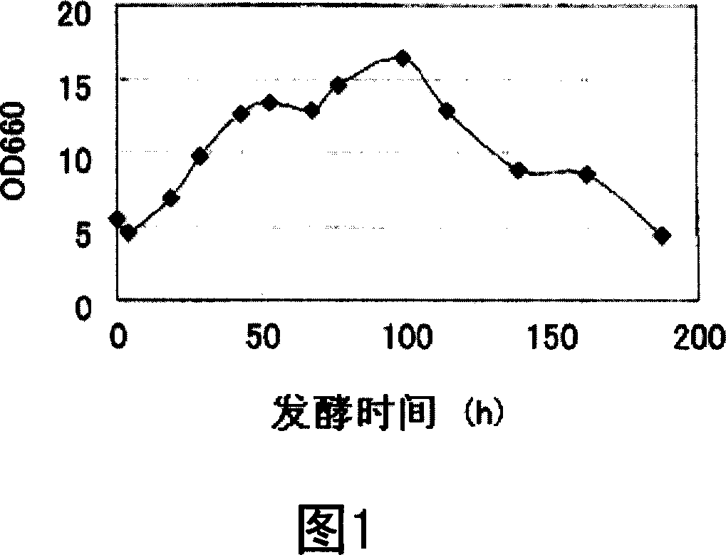 Catalase gene and use thereof