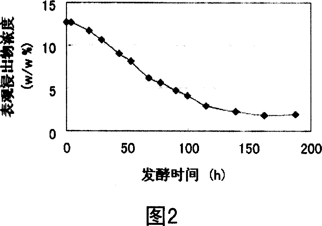 Catalase gene and use thereof