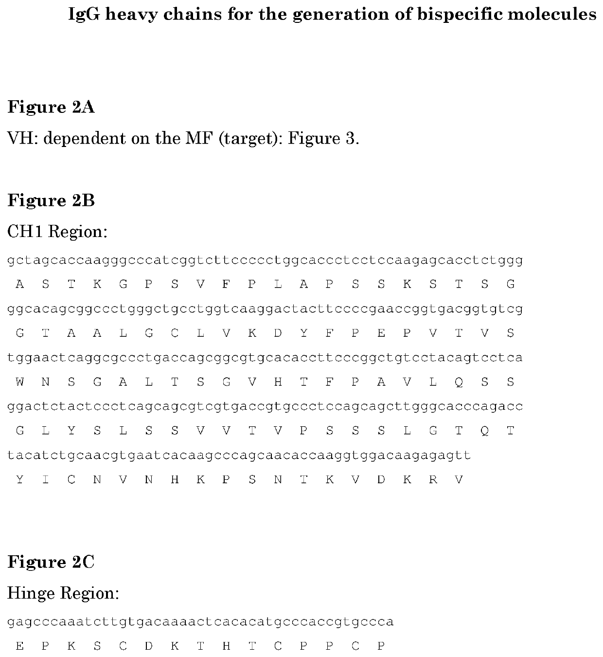 Bispecific anti pd1-anti tim3 antibodies