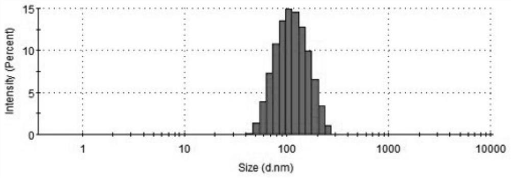 Carrier-free nano delivery system loaded with banoxantrone and preparation method of carrier-free nano delivery system