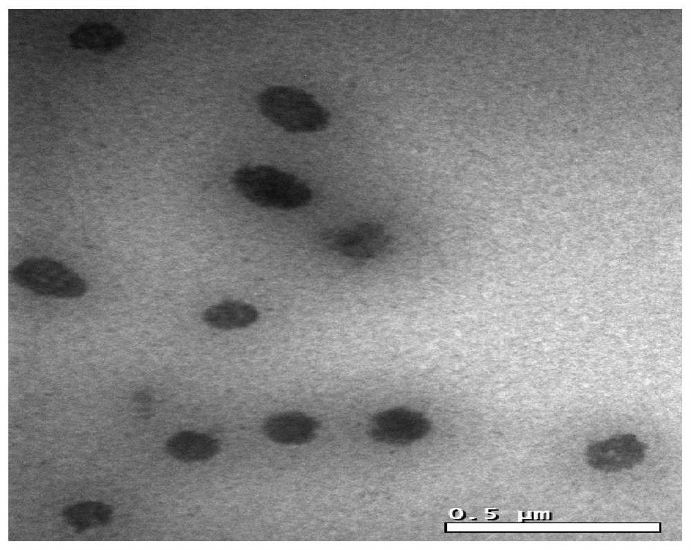 Carrier-free nano delivery system loaded with banoxantrone and preparation method of carrier-free nano delivery system