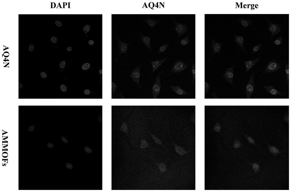 Carrier-free nano delivery system loaded with banoxantrone and preparation method of carrier-free nano delivery system