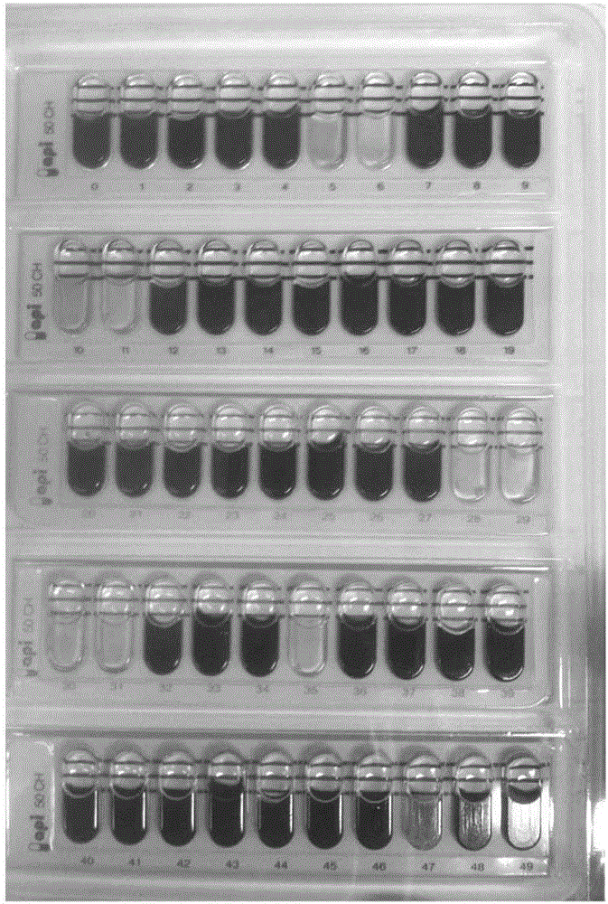 Lactobacillus probiotics CGMCC NO. 12422 and application of lactobacillus probiotics in preparing lipid-lowering drug