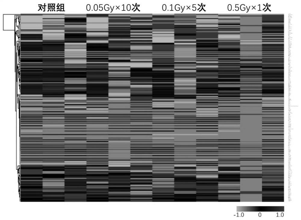 Application of plasma protein composition in preparation of product for predicting low-dose radiation irradiation dose