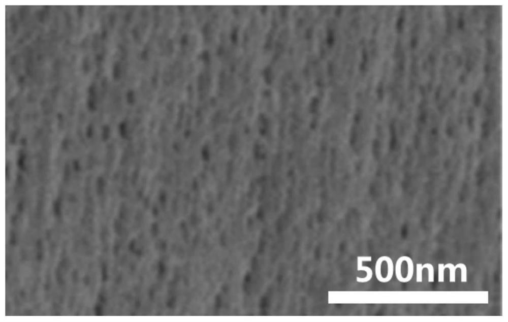 Anticoagulant modification method and application of a kind of hemodialyzer