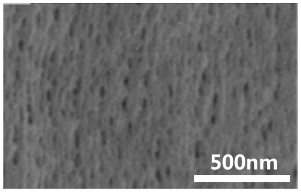 Anticoagulant modification method and application of a kind of hemodialyzer