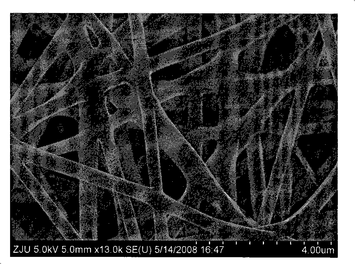 Polymer compound resistor type humidity sensitive element with nanometer fiber structure and manufacturing method thereof