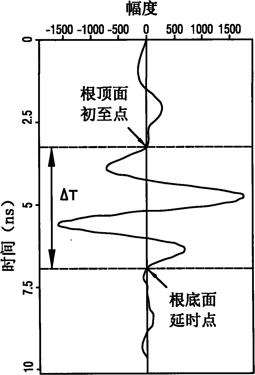 Method for measuring diameter and biomass of plant underground roots by using ground penetrating radar