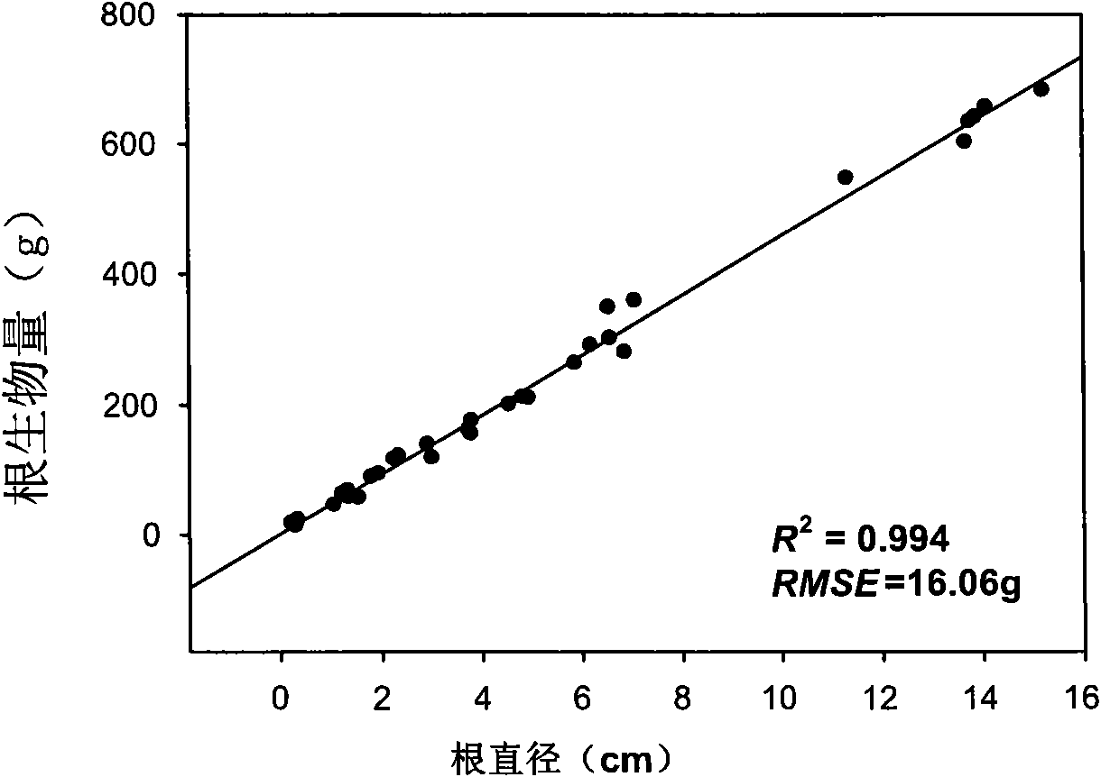 Method for measuring diameter and biomass of plant underground roots by using ground penetrating radar