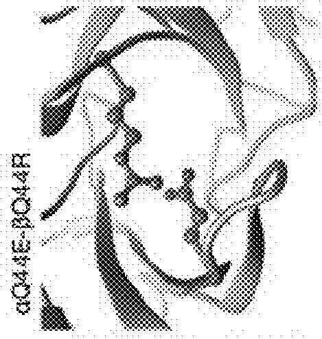 T cell receptors with improved pairing