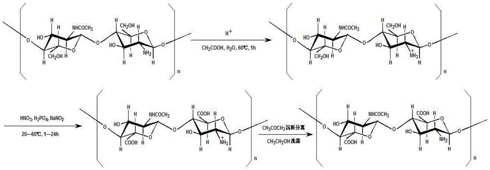 Water-soluble antibacterial monocarboxylic chitosan as well as preparation method and application thereof