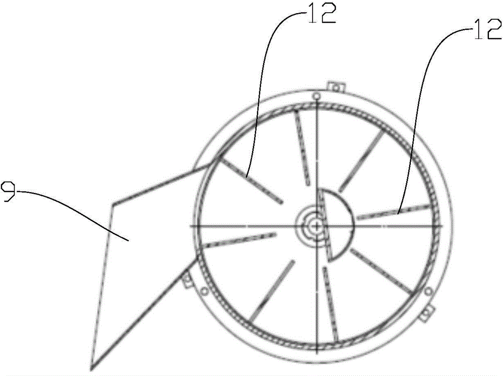 Fish feeding device