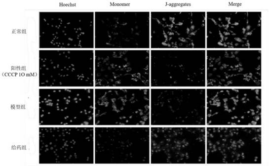 Application of oroxylum indicum as anti-oxidative stress injury agent